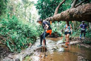 BIB: 
                            <button type="button" onclick="openModal(25375907)" class="btn btn-primary btn-sm float-right btn-popup" data-toggle="modal" data-target=".modal-high-quality">
                        <i class="fas fa-shopping-cart"></i> Add to Cart
                    </button>
                                            <button type="button" onclick="isThisMe(25375907, true)" class="btn btn-success btn-sm float-right btn-popup btn-isme hidden" data-toggle="tooltip" data-placement="bottom" title="นี่คือรูปของคุณใช่ไหม คลิกที่นี่เพื่อเอาเข้าอัลบั้ม">
                        <i class="fas fa-plus"></i> Add to album
                    </button>
                    <button type="button" onclick="isThisMe(25375907, false)" class="btn btn-warning btn-sm float-right btn-popup btn-isnotme hidden">
                        <i class="fas fa-ban"></i> Remove from album
                    </button>